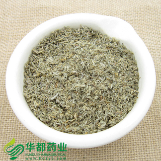Herba Artemisiae Scopariae / 茵陈 / Yin Chen