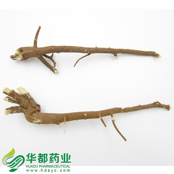 Thorowax Root / 柴胡 / Chai Hu