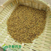 Seed of Common Fenugreek / 葫芦巴 / Hu Lu Ba