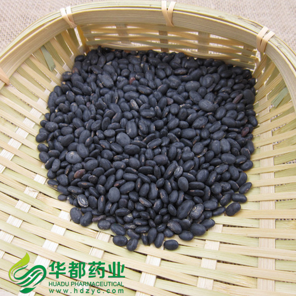 Black Bean / 黑豆 / Hei Dou